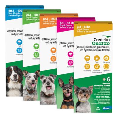 Credelio Quattro™ Chewable Tablets for Dogs