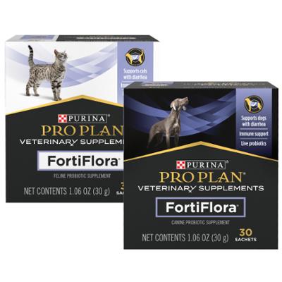 are raised pet food bowls good for cats Elevated Cat Bowl Set  Non-Tip Stoneware, 4 Modern Finishes