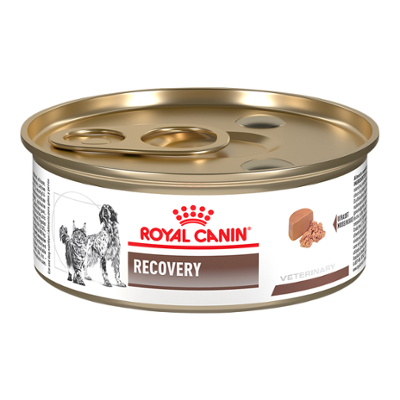 Royal Canin Recovery Can for Dogs and Cats | MFG_327